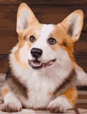 Картина по номерам Paintboy GX 30515 Любопытный корги 40x50 см