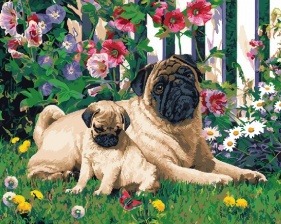Картина по номерам Paintboy GX 27441 Мопсики 40x50 см