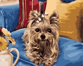 Картина по номерам Paintboy GX 4548 Йоркширский терьер 40x50 см