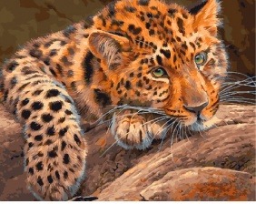 Картина по номерам Paintboy GX 29463 Задумчивый леопард 40x50 см