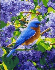 Картина по номерам Paintboy GX 25325 Птичка в цветущей сирени 40x50 см