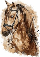 Картина по номерам Paintboy GX 31651 Милый взгляд лошади 40x50 см