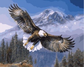 Картина по номерам Paintboy GX 7134 Белоголовый орлан 40x50 см