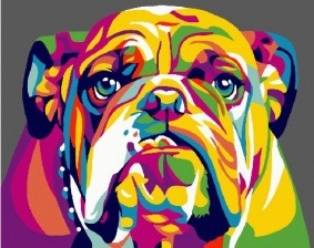 Картина по номерам Paintboy GX 26198 Радужный бульдог 40х50 см