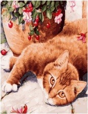 Картина по номерам Paintboy GX 28509 Милый котик 40х50 см
