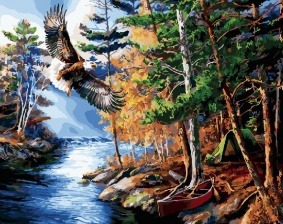 Картина по номерам Paintboy GX 27362 Орел над речкой 40x50 см