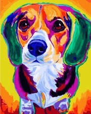 Картина по номерам Paintboy PK 24026 (GX 28144) Радужный щенок 40х50 см