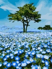 Картина по номерам Paintboy GX 27376 Красота полей 40x50 см