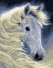 Картина по номерам Paintboy PK 55001 Ночной скакун 40х50 см