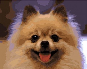 Картина по номерам Paintboy GX 4851 Шпиц 40x50 см