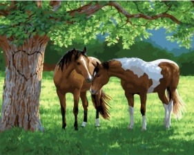 Картина по номерам Paintboy GX 30712 Лошадиная любовь 40x50 см