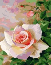 Картина по номерам Paintboy GX 32791 Свежая роза 40x50 см
