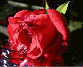 Картина по номерам Paintboy GX 28436 Прохлада для розы 40x50 см