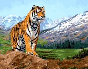 Картина по номерам Paintboy GX 8305 Тигр в горах 40x50 см