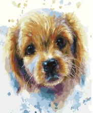 Картина по номерам Paintboy GX 25667 Взгляд щенка 40x50 см