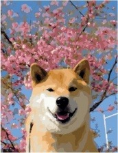 Картина по номерам Paintboy PK 59077 Весенний пёс 40х50 см