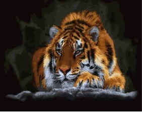 Картина по номерам Paintboy GX 29461 Сила спокойствия 40x50 см