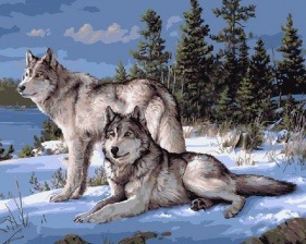 Картина по номерам Paintboy GX 4430 Зимние волки 40x50 см