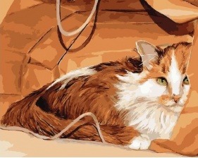 Картина по номерам Paintboy GX 28563 Бело-рыжий кот 40x50 см