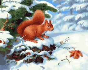 Картина по номерам Paintboy PK 45046 Пушистая белочка 40х50 см