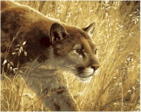 Картина по номерам Paintboy GX 36568 Степная охотница 40х50 см