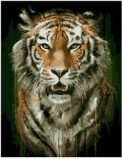 Картина по номерам Paintboy PK 68097 Гневный взгляд 40х50 см