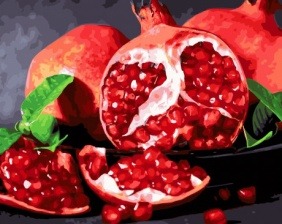 Картина по номерам Paintboy GX 32215 Гранат 40х50 см