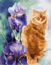 Картина по номерам Paintboy GX 34327 Рыжий кот и ирисы 40x50 см