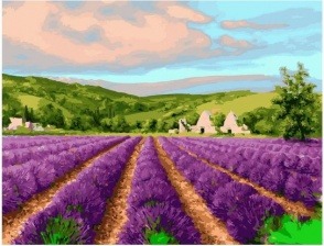 Картина по номерам Paintboy GX 27800 Поле цветущей лаванды 40х50 см