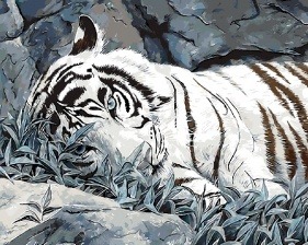 Картина по номерам Paintboy GX 9629 Белый тигр (худ. Билод Люси) 40х50 см