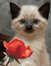 Картина по номерам Paintboy GX 27673 Сиамский котенок 40x50 см