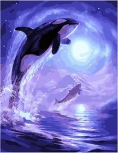 Картина по номерам Paintboy PK 59072 Ночные дельфины 40х50 см