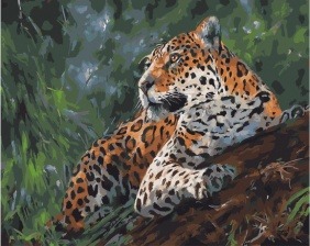 Картина по номерам Paintboy GX 33892 Бдительный леопард 40x50 см