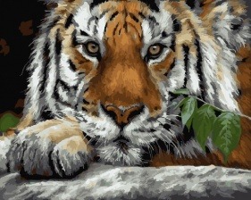 Картина по номерам Paintboy PK 6022 (GX 23092) Пронзительный взгляд 40x50 см