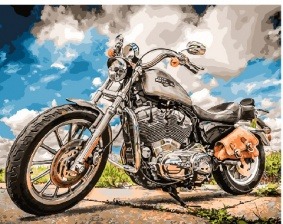 Картина по номерам Paintboy GX 29326 Король дорог 40x50 см