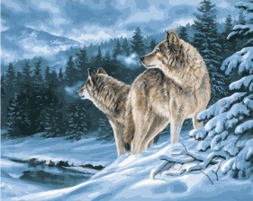 Картина по номерам Paintboy PK 41045 Лесные волки 40x50 см