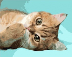Картина по номерам Paintboy PK 38064 Чистые лапки 40x50 см
