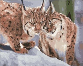 Картина по номерам Paintboy GX 26467 Зимние рыси 40х50 см