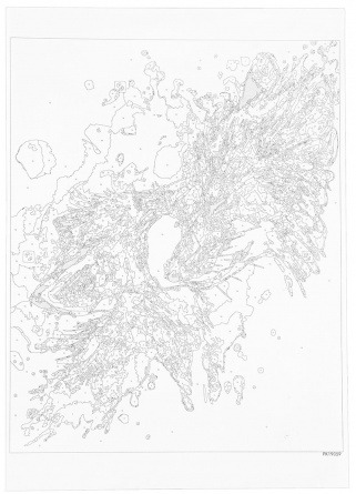Картина по номерам Paintboy GX 9009 Лебединая нежность 40x50 см фото 9