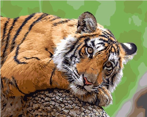 Картина по номерам Paintboy GX 34255 Задумчивый тигр 40x50 см фото 1