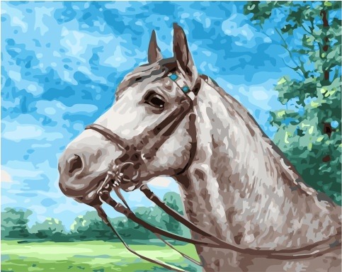 Картина по номерам Paintboy GX 34666 Серая лошадка 40x50 см фото 1