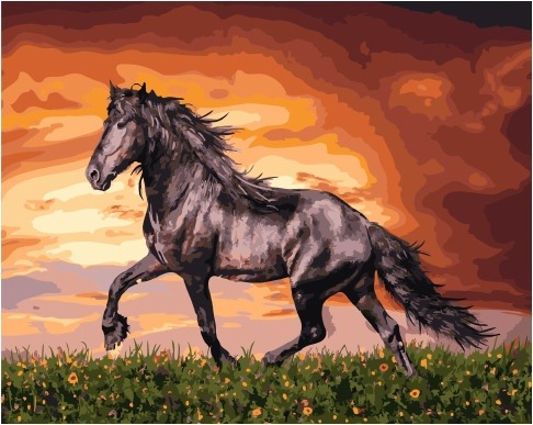 Картина по номерам Paintboy GX 34880 Черный конь 40x50 см фото 1