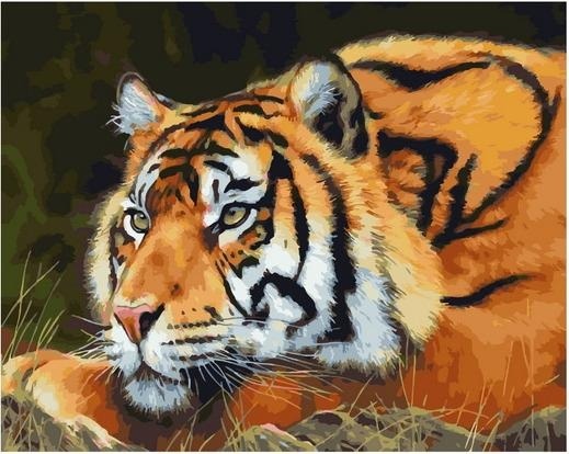 Картина по номерам Paintboy GX 34933 Тигр крупным планом/Лежит в траве 40х50 см фото 1