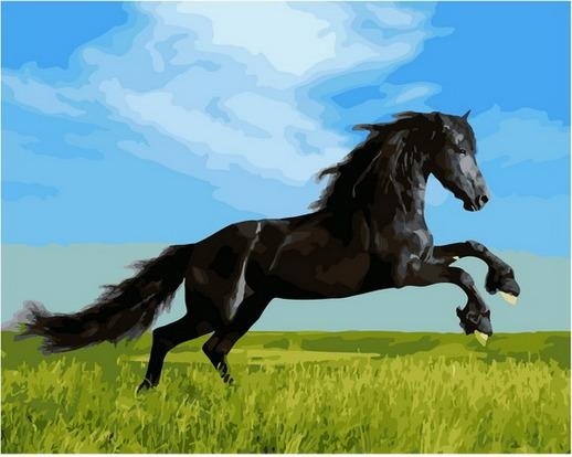 Картина по номерам Paintboy GX 36088 Ретивый скакун 40х50 см фото 1