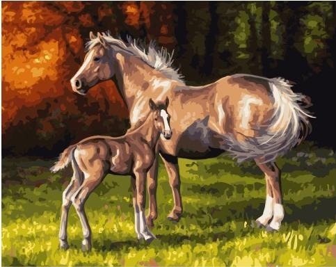 Картина по номерам Paintboy GX 35040 Ветер в гривах лошадей 40х50 см фото 1