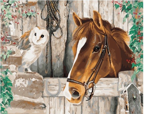Картина по номерам Paintboy GX 34399 Лошадь и сова 40x50 см фото 1